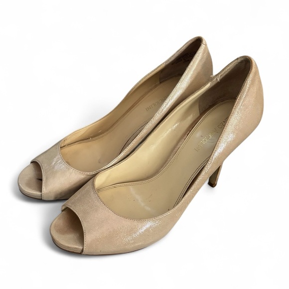 ✨ Enzo Angiolini Nude Shimmery Peep Toe Heels – Size 10M ✨ - Picture 1 of 10